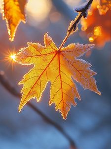 <span color-type="color" style="color: #fac30d"><span style="font-weight: 700">В <span style="text-transform: uppercase">осень с позитивом</span>!!!</span></span><br>